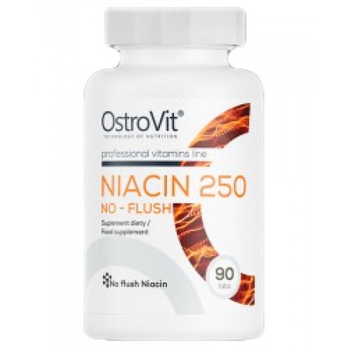 OstroVit - Niacin 250 | No-Flush / 90 Таблетки, 90 дози