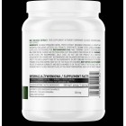 OstroVit - Solidago Extract Powder / 100 грама, 384 дози