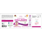 Swedish Nutra - Hydrolyzed Collagen | with Vitamin C, B5, B6 and Hyaluronic Acid / 500 мл, 33 дози​