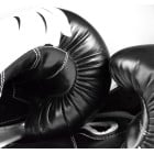 Dominator - Боксови ръкавици / Lion (изкуствена кожа)