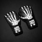 Phantom Athletics - Боксови ръкавиц - Boxing gloves Phantom APEX - X-Ray