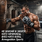 Боксови ръкавици - Armageddon Sports - Camo Grey