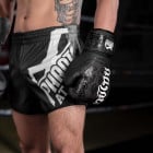 Phantom Athletics - Боксов ръкавици - Boxing gloves Phantom Muay Thai - Black/Black